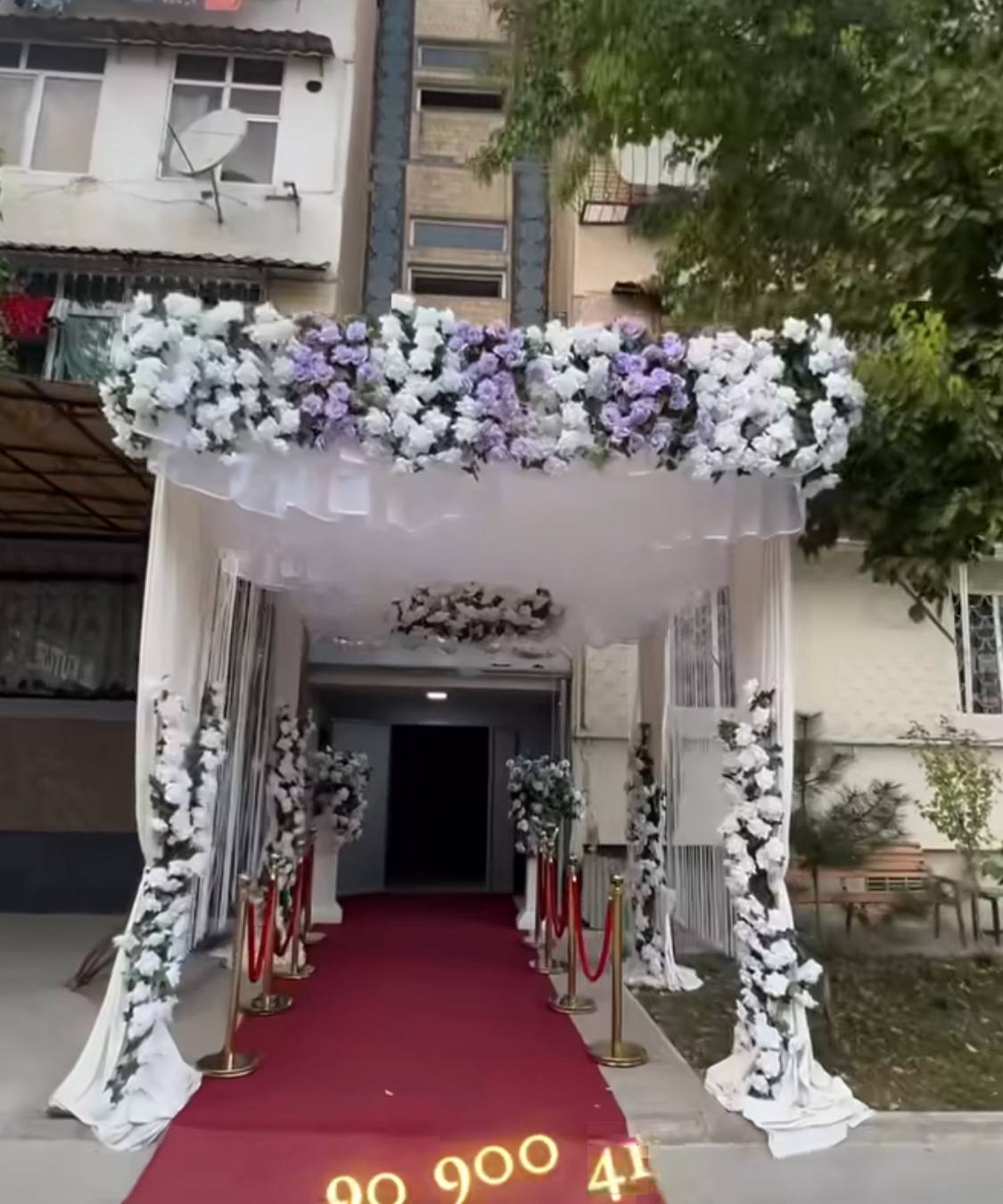 Don Decor